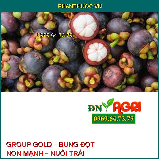 GROUP GOLD – BUNG ĐỌT NON MẠNH – NUÔI TRÁI