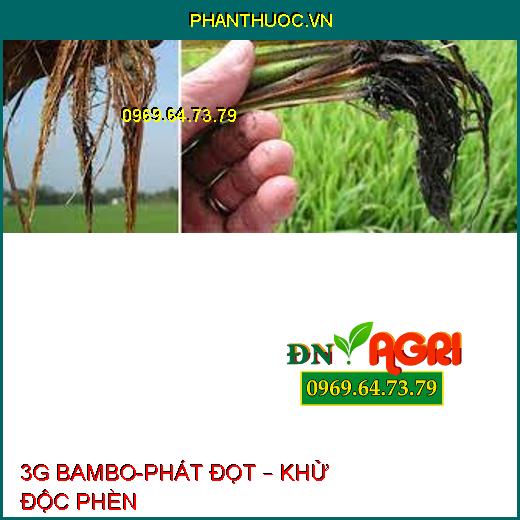 3G BAMBO-PHÁT ĐỌT – KHỬ ĐỘC PHÈN