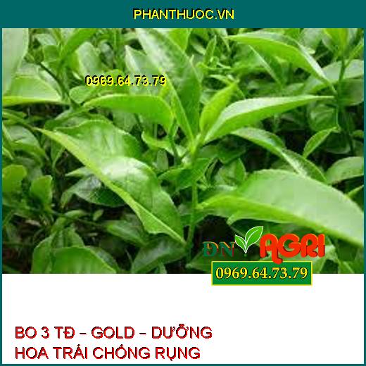 BO 3 TĐ – GOLD – DƯỠNG HOA TRÁI CHỐNG RỤNG