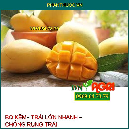 BO KẼM– TRÁI LỚN NHANH – CHỐNG RỤNG TRÁI