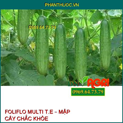 FOLIFLO MULTI T.E – MẬP CÂY CHẮC KHỎE