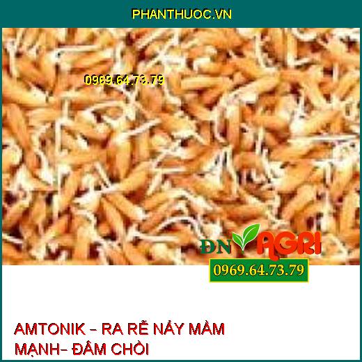 AMTONIK – RA RỄ NẨY MẦM MẠNH– ĐÂM CHỒI