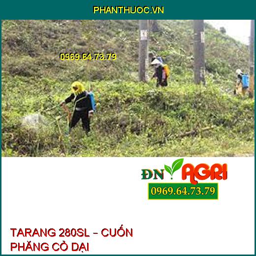 TARANG 280SL – CUỐN PHĂNG CỎ DẠI