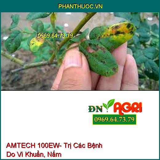 AMTECH 100EW- Đặc Trị Các Bệnh Do Vi Khuẩn, Nấm