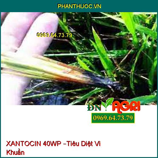 XANTOCIN 40WP –Tiêu Diệt Vi Khuẩn