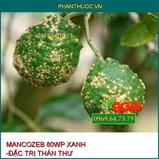 MANCOZEB 80WP XANH -ĐẶC TRỊ THÁN THƯ 