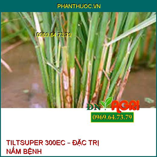 TILTSUPER 300EC – ĐẶC TRỊ NẤM BỆNH