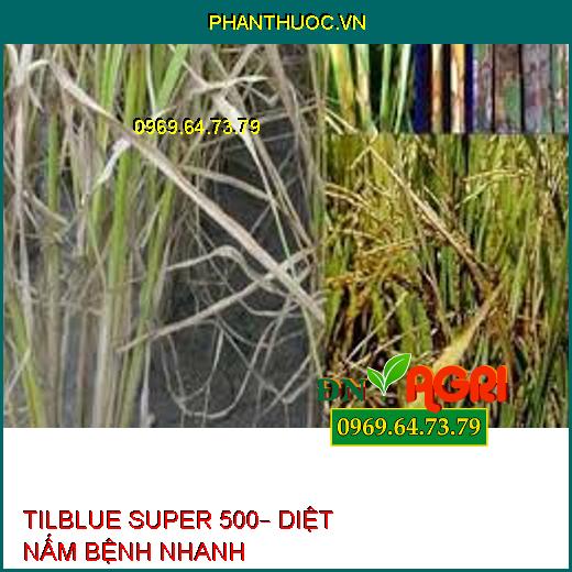 TILBLUE SUPER 500– DIỆT NẤM BỆNH NHANH