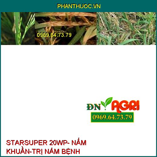 STARSUPER 20WP- NẤM KHUẨN-TRỊ NẤM BỆNH