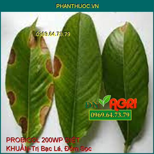 PROBICOL 200WP DIỆT KHUẨN-Trị Bạc Lá, Đốm Sọc