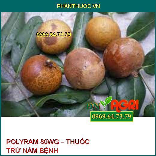 POLYRAM 80WG – THUỐC TRỪ NẤM BỆNH 