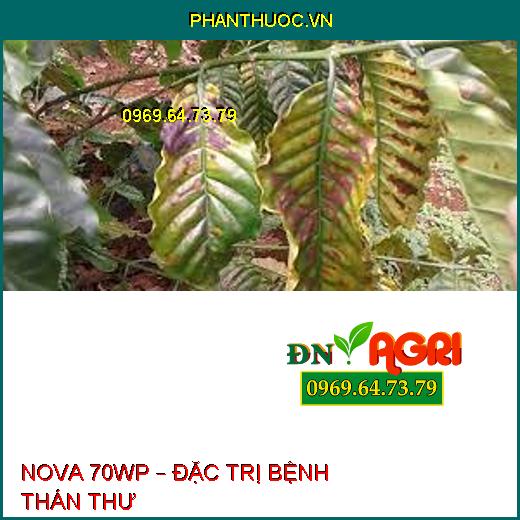 NOVA 70WP – ĐẶC TRỊ BỆNH THÁN THƯ