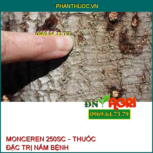 MONCEREN 250SC – THUỐC ĐẶC TRỊ NẤM BỆNH