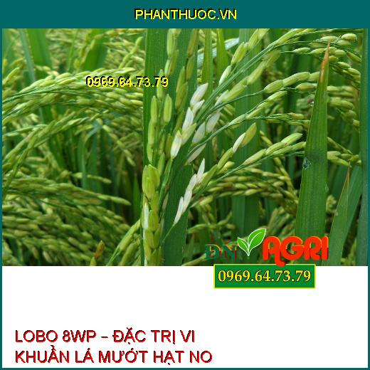 LOBO 8WP – ĐẶC TRỊ VI KHUẨN LÁ MƯỚT HẠT NO