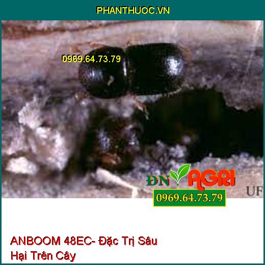 ANBOOM 48EC- Đặc Trị Sâu Hại Trên Cây