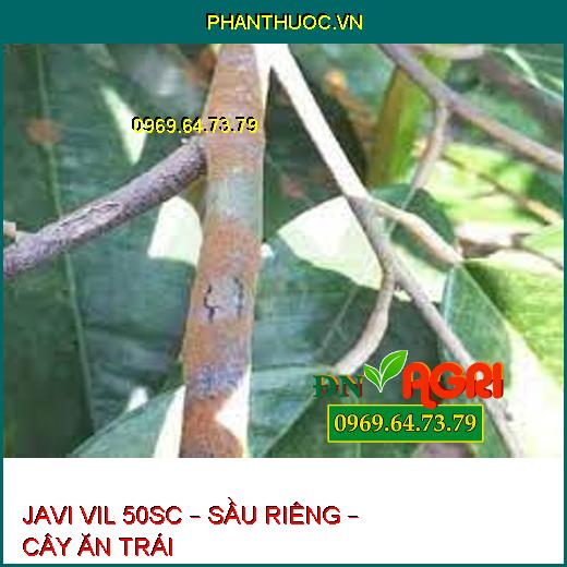 JAVI VIL 50SC – SẦU RIÊNG – CÂY ĂN TRÁI