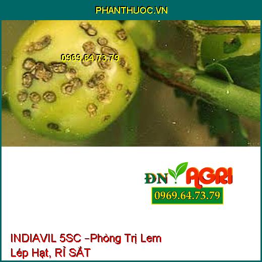 INDIAVIL 5SC –Phòng Trị Lem Lép Hạt, RỈ SẮT