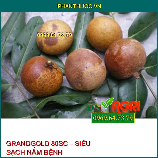 GRANDGOLD 80SC – SIÊU SẠCH NẤM BỆNH