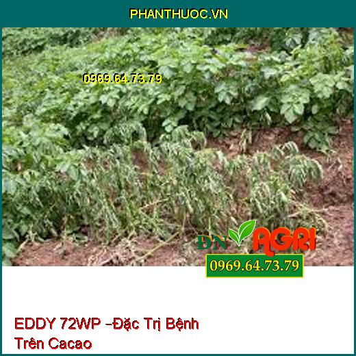 EDDY 72WP –Đặc Trị Bệnh Trên Cacao