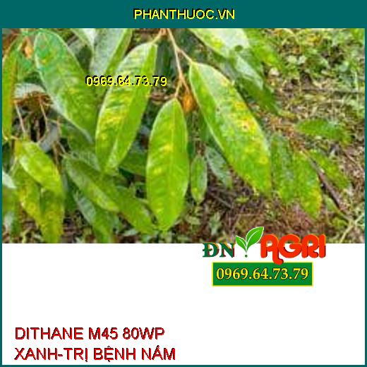 DITHANE M45 80WP XANH-TRỊ BỆNH NẤM 