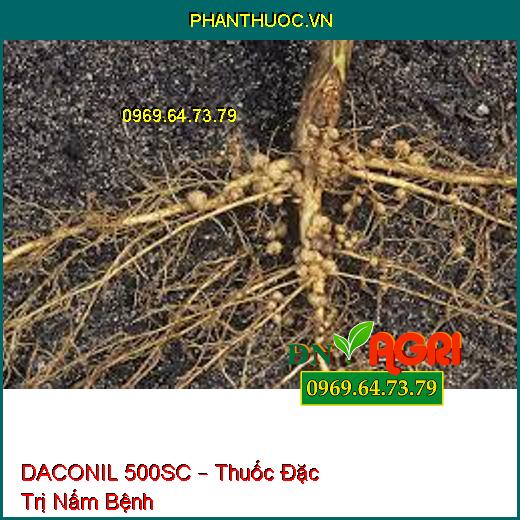 DACONIL 500SC – Thuốc Đặc Trị Nấm Bệnh