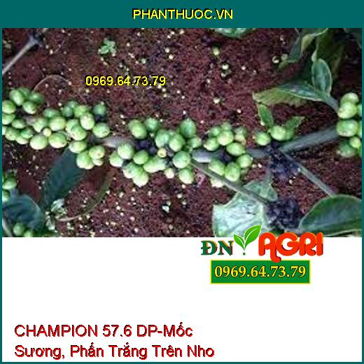 CHAMPION 57.6 DP-Mốc Sương, Phấn Trắng Trên Nho