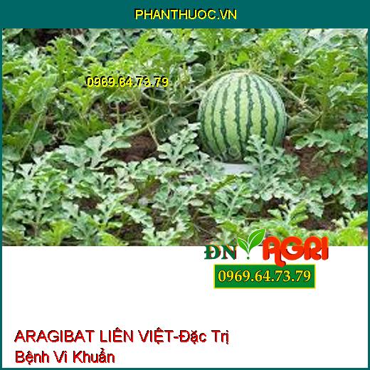 ARAGIBAT LIÊN VIỆT-Đặc Trị Bệnh Vi Khuẩn