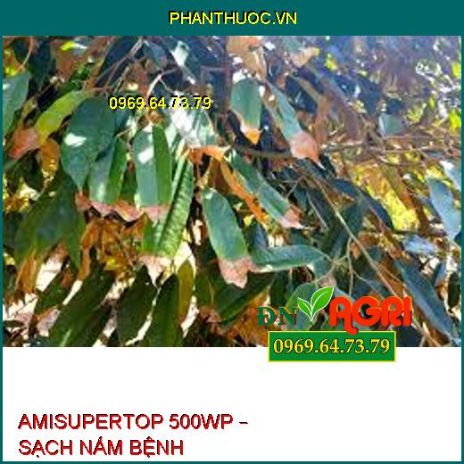 AMISUPERTOP 500WP – SẠCH NẤM BỆNH