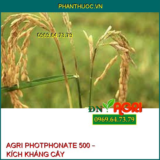 AGRI PHOTPHONATE 500 – KÍCH KHÁNG CÂY