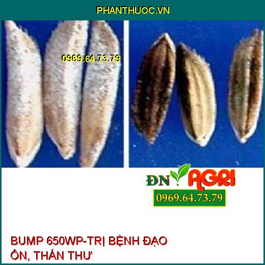 BUMP 650WP-TRỊ BỆNH ĐẠO ÔN, THÁN THƯ