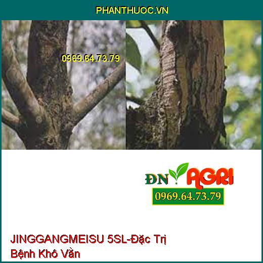 JINGGANGMEISU 5SL-Đặc Trị Bệnh Khô Vằn