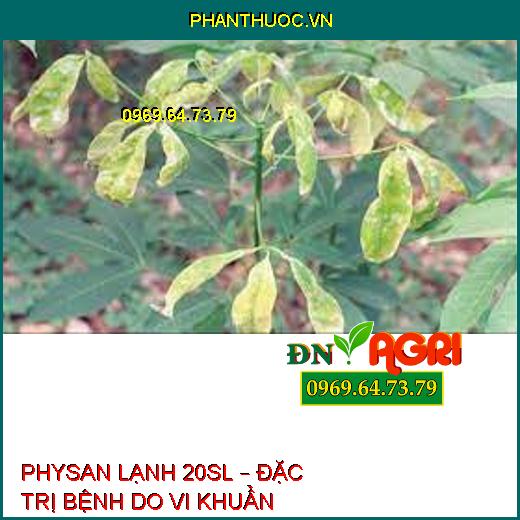 PHYSAN LẠNH 20SL – ĐẶC TRỊ BỆNH DO VI KHUẨN