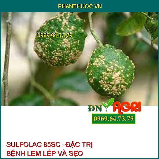 SULFOLAC 85SC –ĐẶC TRỊ BỆNH LEM LÉP VÀ SẸO