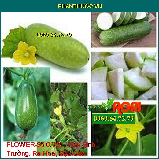 FLOWER-95 0.3SL–Kích Sinh Trưởng, Ra Hoa, Đậu Qủa