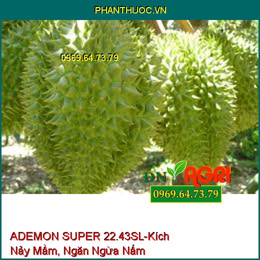 ADEMON SUPER 22.43SL-Kích Nảy Mầm, Ngăn Ngừa Nấm