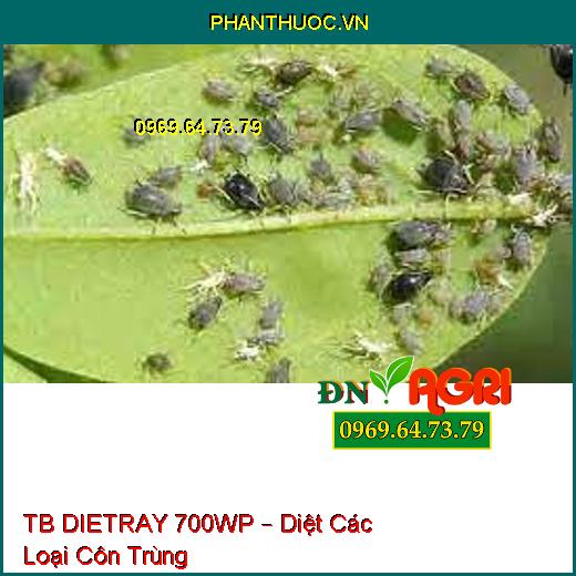 TB DIETRAY 700WP – Diệt Các Loại Côn Trùng