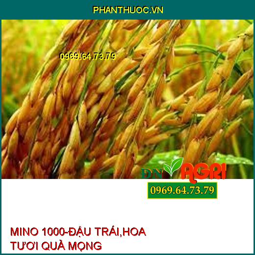 MINO 1000-ĐẬU TRÁI,HOA TƯƠI QUẢ MỌNG