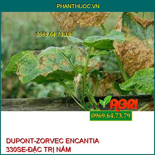 DUPONT-ZORVEC ENCANTIA 330SE-ĐẶC TRỊ NẤM 