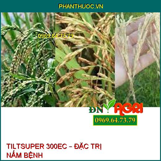 TILTSUPER 300EC – ĐẶC TRỊ NẤM BỆNH