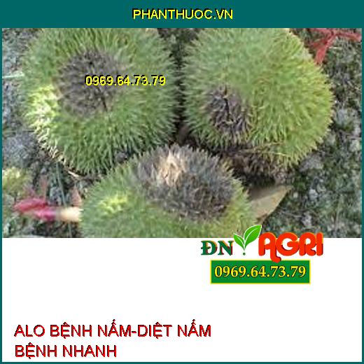 ALO BỆNH NẤM-DIỆT NẤM BỆNH NHANH