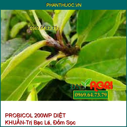 PROBICOL 200WP DIỆT KHUẨN-Trị Bạc Lá, Đốm Sọc