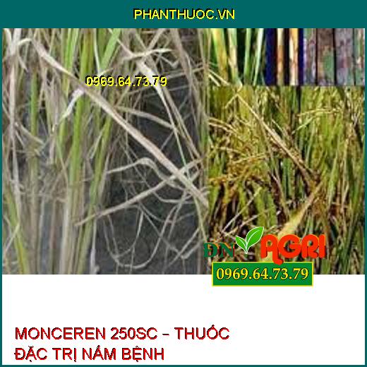 MONCEREN 250SC – THUỐC ĐẶC TRỊ NẤM BỆNH