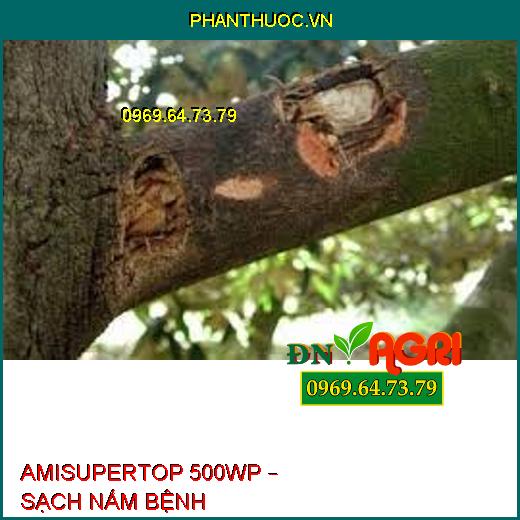 AMISUPERTOP 500WP – SẠCH NẤM BỆNH