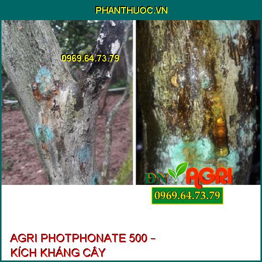 AGRI PHOTPHONATE 500 – KÍCH KHÁNG CÂY