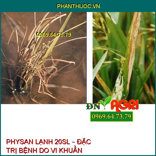 PHYSAN LẠNH 20SL – ĐẶC TRỊ BỆNH DO VI KHUẨN