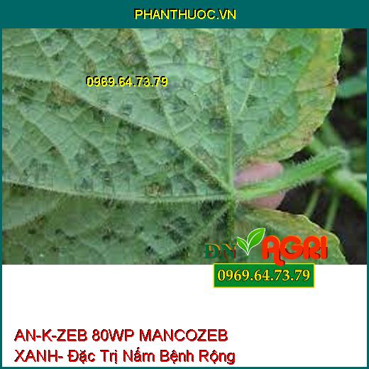 AN-K-ZEB 80WP MANCOZEB XANH- Đặc Trị Nấm Bệnh Phổ Rộng