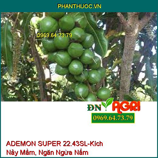 ADEMON SUPER 22.43SL-Kích Nảy Mầm, Ngăn Ngừa Nấm