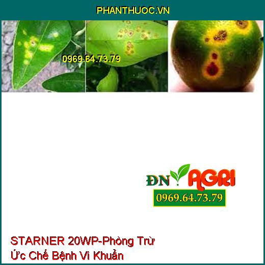 STARNER 20WP-Phòng Trừ Ức Chế Bệnh Vi Khuẩn