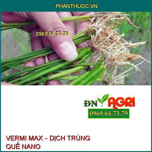 VERMI MAX – DỊCH TRÙNG QUẾ NANO