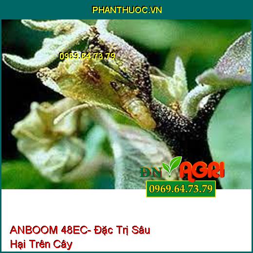 ANBOOM 48EC- Đặc Trị Sâu Hại Trên Cây